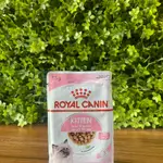 kitten 85g